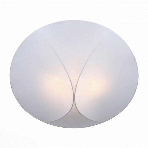 Накладной светильник ST Luce Tonico SL360.552.04