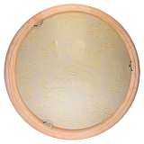 Светильник Toplight TL9640Y-00PN