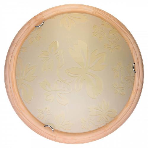 Настенно-потолочный светодиодный светильник Toplight Jane TL9640Y-00PN