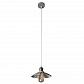 Подвесной светильник Arte Lamp A8160SP-1GY - фото №1