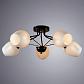 Потолочная люстра Arte Lamp Brighton A2706PL-5CK - фото №2
