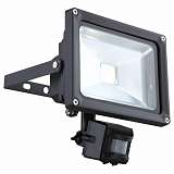 Прожектор Globo 34115S