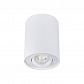 Точечный светильник Kanlux BORD DLP-50-W 22551 - фото №1