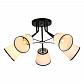 Потолочная люстра Toplight Persis TL1256D-05BK - фото №1