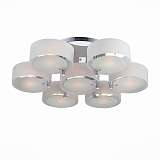 Потолочная люстра Evoluce Foresta SL483.502.07