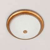 Светильник Citilux CL425502