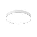 Потолочный светодиодный светильник Arte Lamp Arena A2670PL-1WH