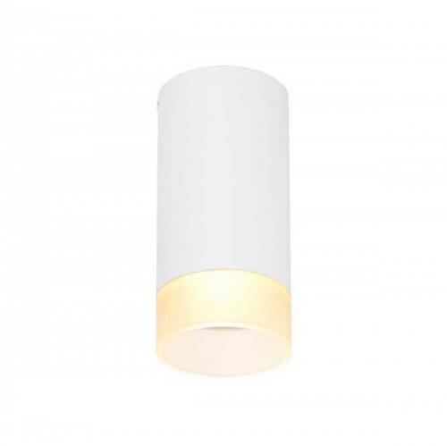 Потолочный светильник SLV Astina 1002934