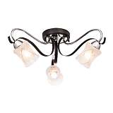 Люстра Silver Light 214.59.3