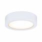 Мебельный светодиодный светильник Paulmann Clever Connect Disc 99975 - фото №5