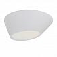 Потолочный светодиодный светильник ST Luce Odierno SL956.552.01D - фото №1