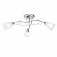 Потолочная люстра Freya Stasya FR5684CL-03CH - фото №1
