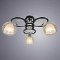 Потолочная люстра Arte Lamp Ginevra A1604PL-3BK - фото №2