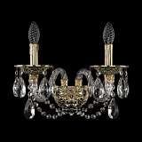 Бра Bohemia Ivele 16102B/2/165/XL G