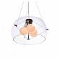 Подвесная люстра Lumina Deco Globo LDP 6018-400 PR - фото №2