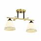 Потолочная люстра Lumion Comfi Becky 4544/2C - фото №1