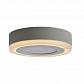 Потолочный светодиодный светильник Arte Lamp Antares A7824PL-2WH - фото №2