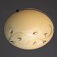 Потолочный светильник Arte Lamp A4040PL-1CC - фото №4