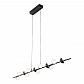 Подвесная светодиодная люстра iLedex Inefable X088136 BK - фото №1