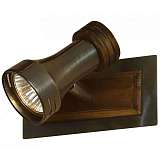 Спот Lussole LSL-7101-01