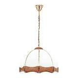 Подвесная люстра Alfa Czajka 772