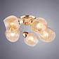 Потолочная люстра Arte Lamp Serpentina A5006PL-5GO - фото №2