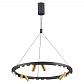 Подвесной светодиодный светильник Odeon Light L-vision Beveren 3918/63L - фото №1