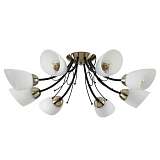 Потолочная люстра Lumion Comfi Eliana 4592/8C