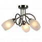 Потолочная люстра Arte Lamp Mutti A8616PL-3AB - фото №4