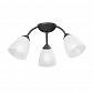 Потолочная люстра Vitaluce V3737-2/3PL - фото №1