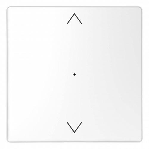 Клавиша одинарная Schneider Electric Merten D-Life MTN5215-6035