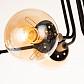 Потолочная люстра Arte Lamp Oxford A2716PL-6BK - фото №2