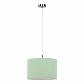 Подвесной светильник Escada 1139/1S Mint - фото №1