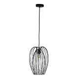 Подвесной светильник Loft IT Deseno 10031 Black