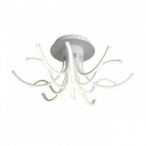 Потолочный светодиодный светильник ST Luce Finde SL826.502.12