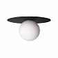 Потолочный светильник Loft IT Ufo 10120/250C Black - фото №3