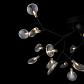 Потолочная люстра Freya Florencia FR5049CL-27B - фото №7