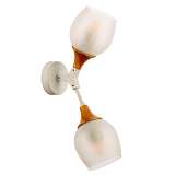 Бра Evoluce SLE113501-02