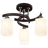 Люстра Silver Light 219.59.3