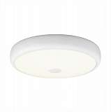 Светильник Citilux CL706330