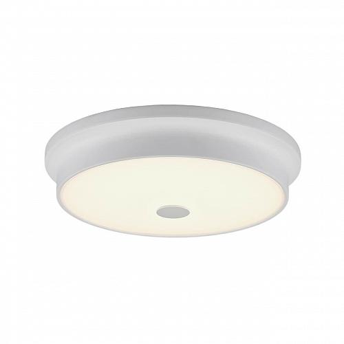 Потолочный светодиодный светильник Citilux Фостер-2 CL706230