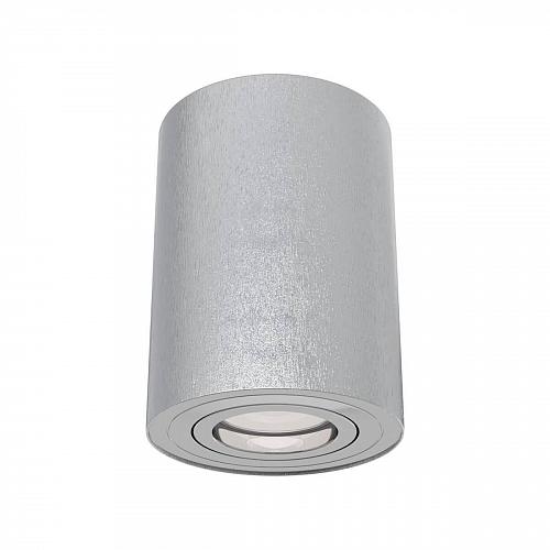 Потолочный светильник Maytoni Alfa C016CL-01S