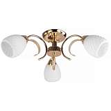 Люстра Toplight TL3530X-03FG