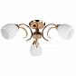 Потолочная люстра Toplight Lenore TL3530X-03FG - фото №1