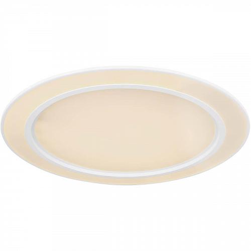 Потолочный светодиодный светильник Globo Dahla 48549-60