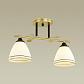 Потолочная люстра Lumion Comfi Becky 4544/2C - фото №3