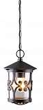 Уличный подвесной светильник Arte Lamp Persia A1455SO-1BK