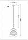 Подвесной светильник Rivoli Principale 5030-201 Б0037719 - фото №2