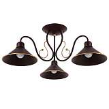 Потолочная люстра Evoluce Ciolla SLE120402-03