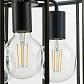 Потолочная люстра Lightstar Genni 798237 - фото №8